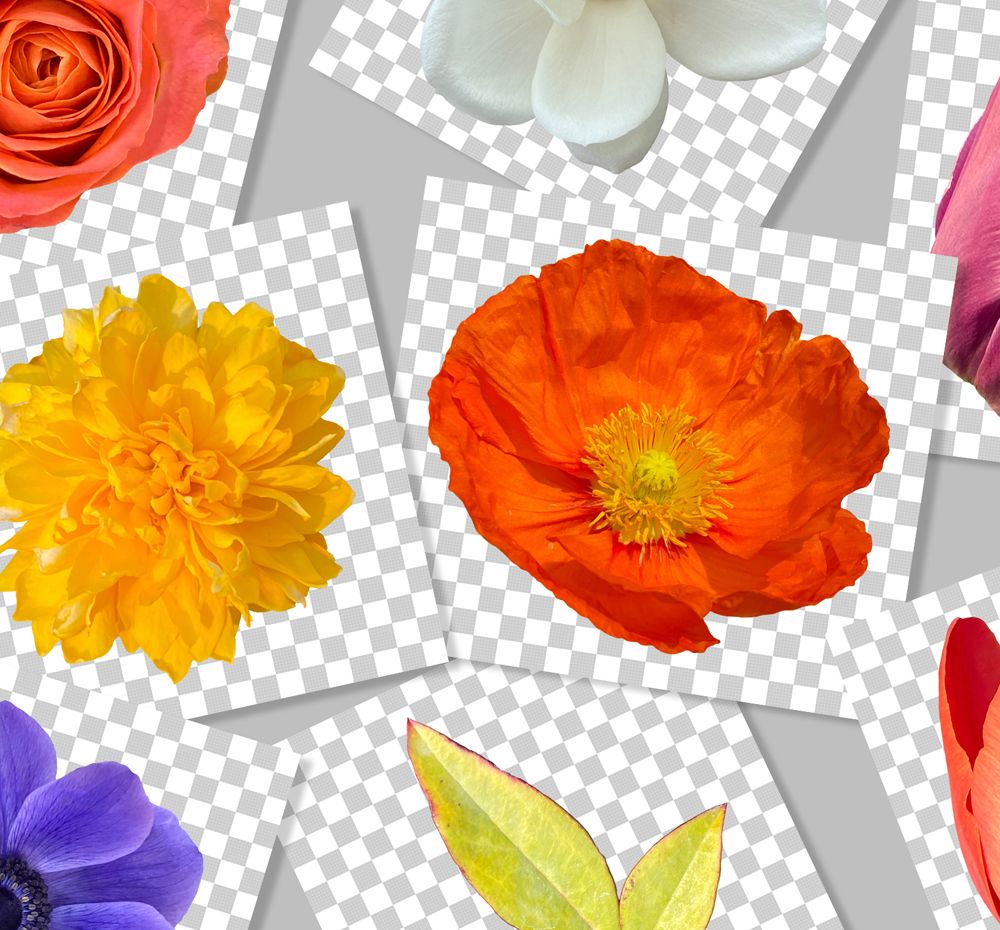 프로젝트 커버 이미지