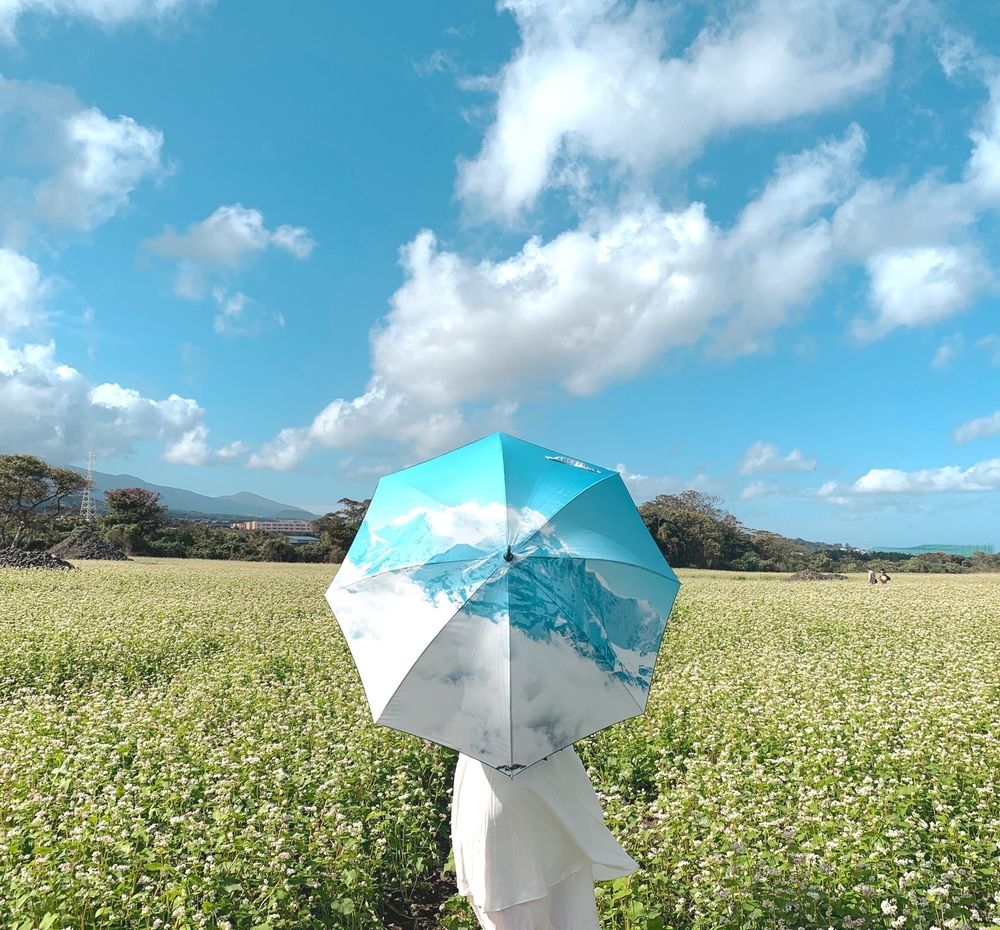 프로젝트 커버 이미지