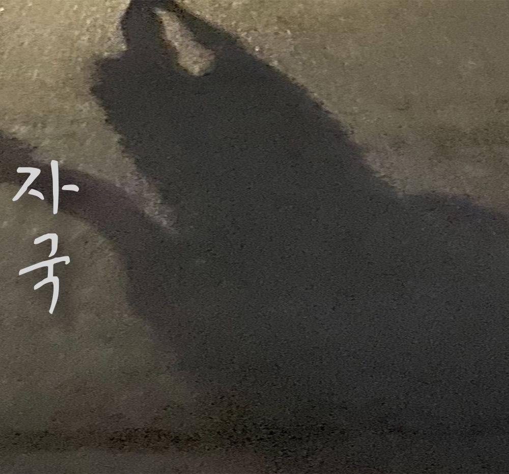 프로젝트 커버 이미지