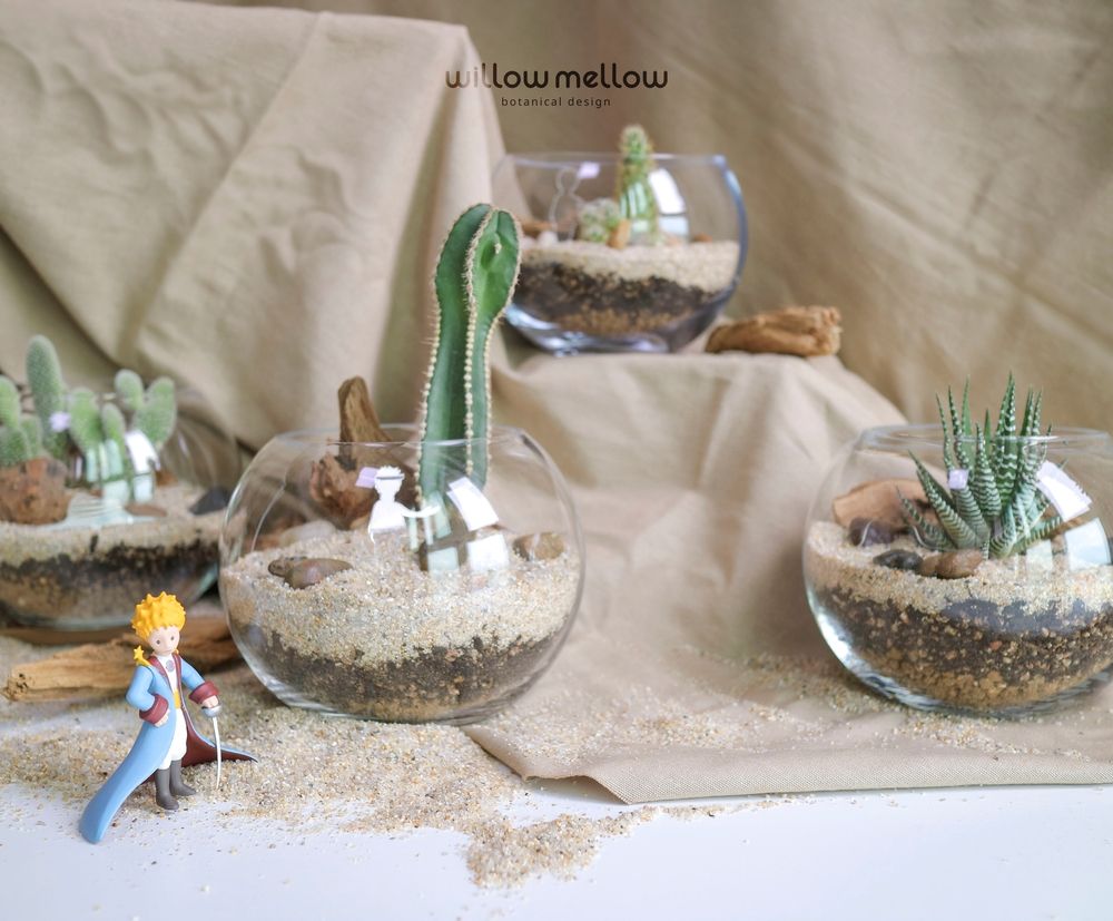 프로젝트 커버 이미지