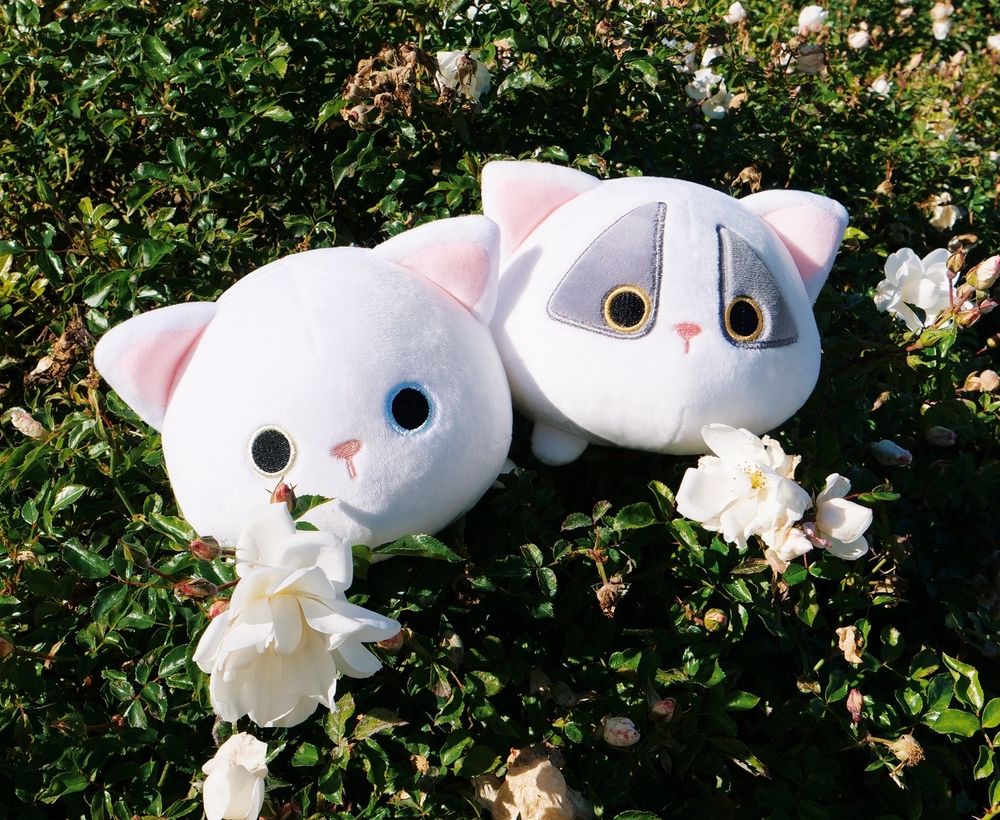 프로젝트 커버 이미지