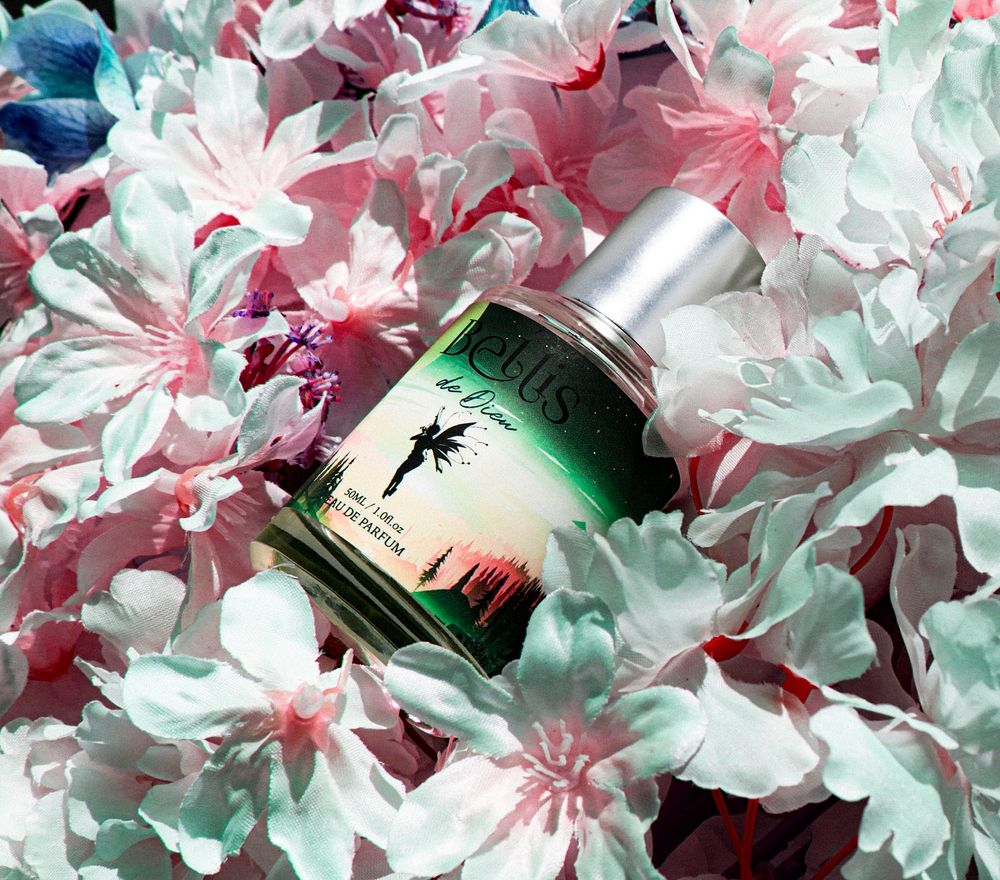 기본 프로젝트 커버 이미지