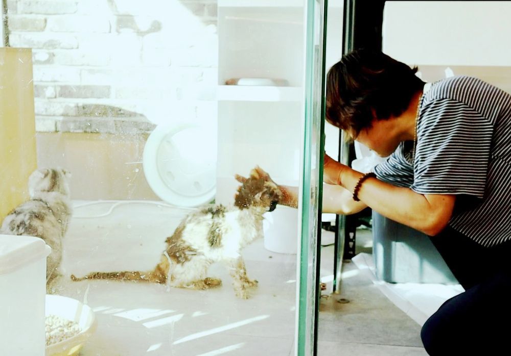 기본 프로젝트 커버 이미지