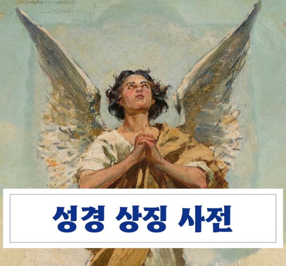프로젝트 커버 이미지