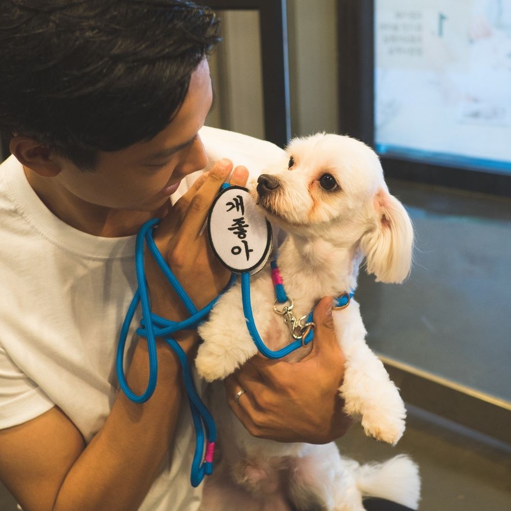 프로젝트 커버 이미지