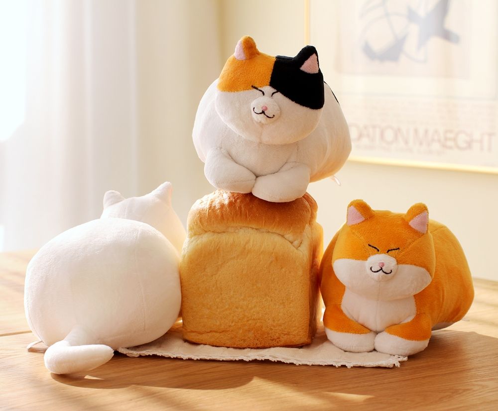 프로젝트 커버 이미지