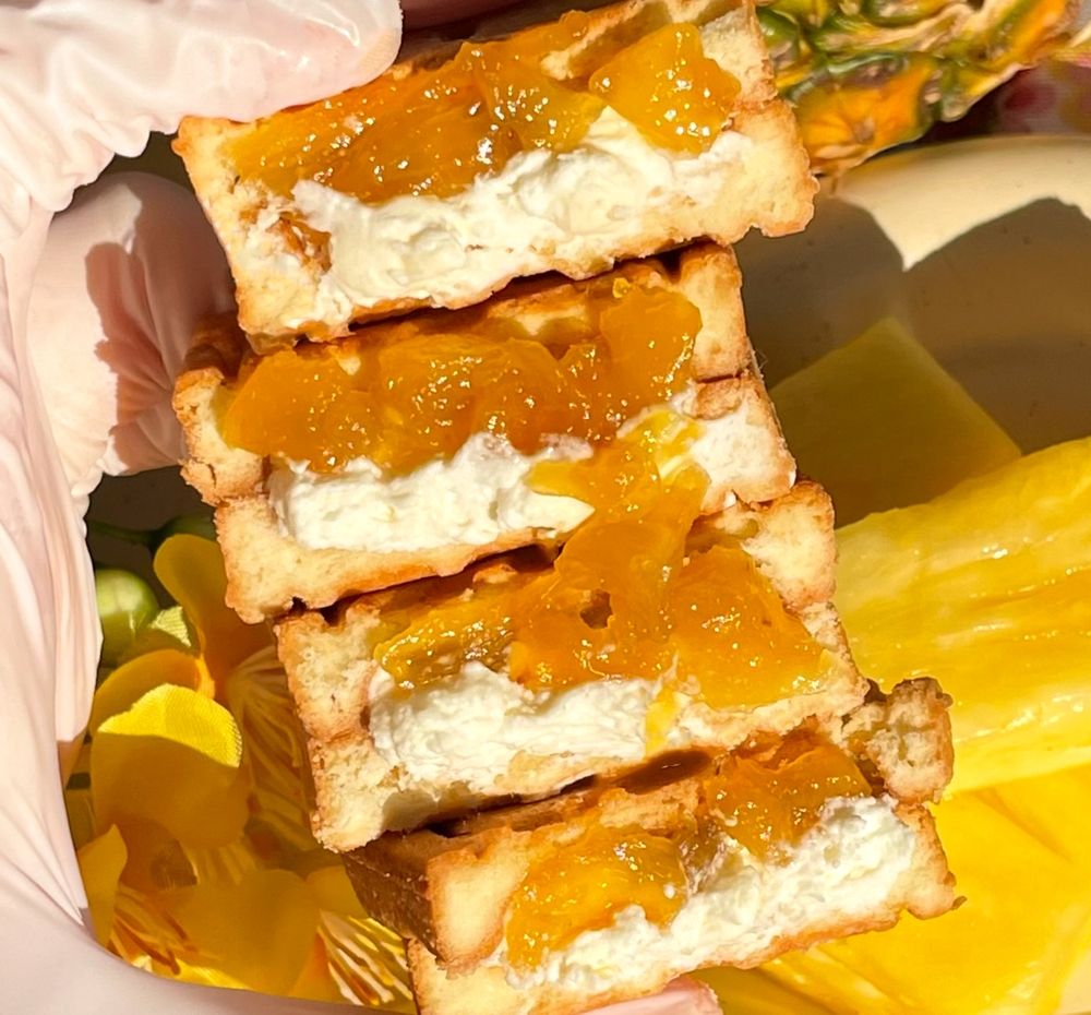 프로젝트 커버 이미지