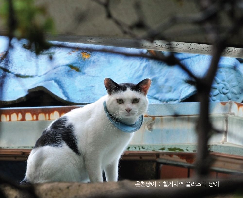 기본 프로젝트 커버 이미지