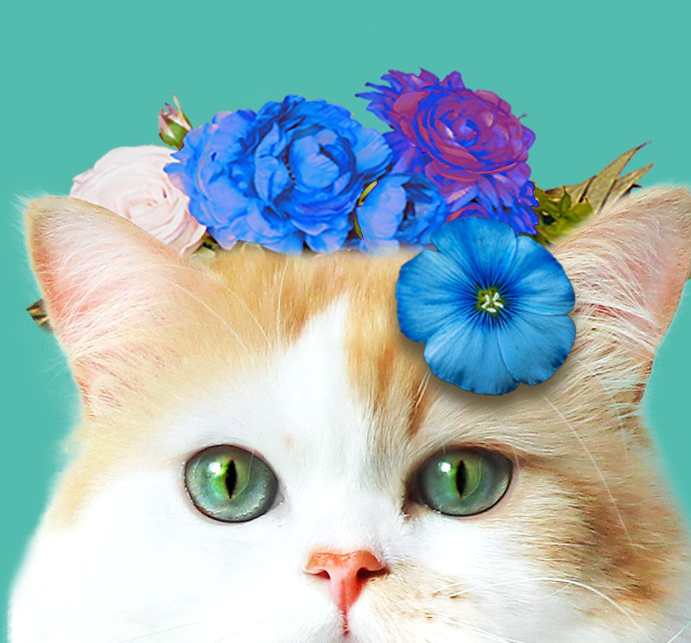 기본 프로젝트 커버 이미지