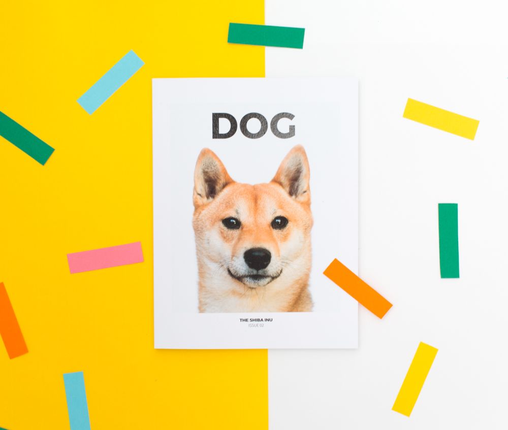 프로젝트 커버 이미지