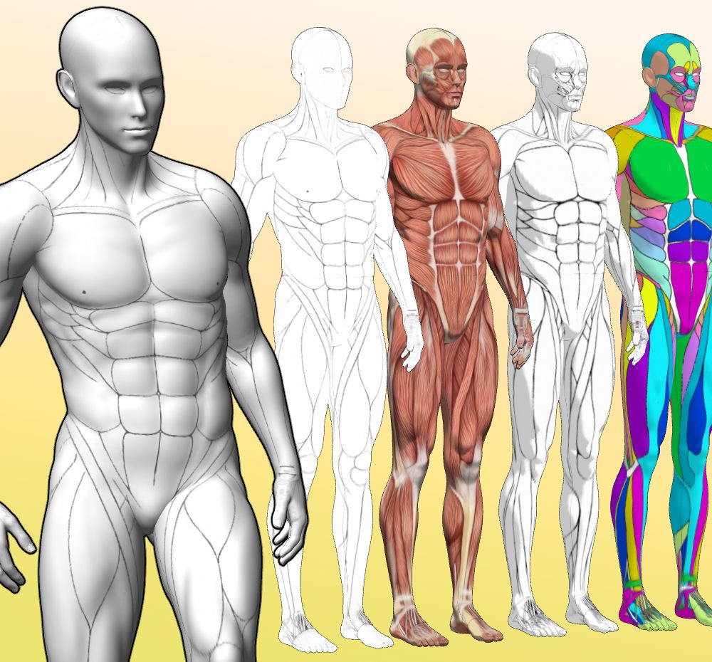 프로젝트 커버 이미지