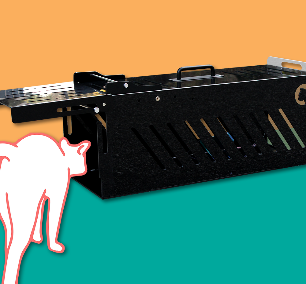 프로젝트 커버 이미지