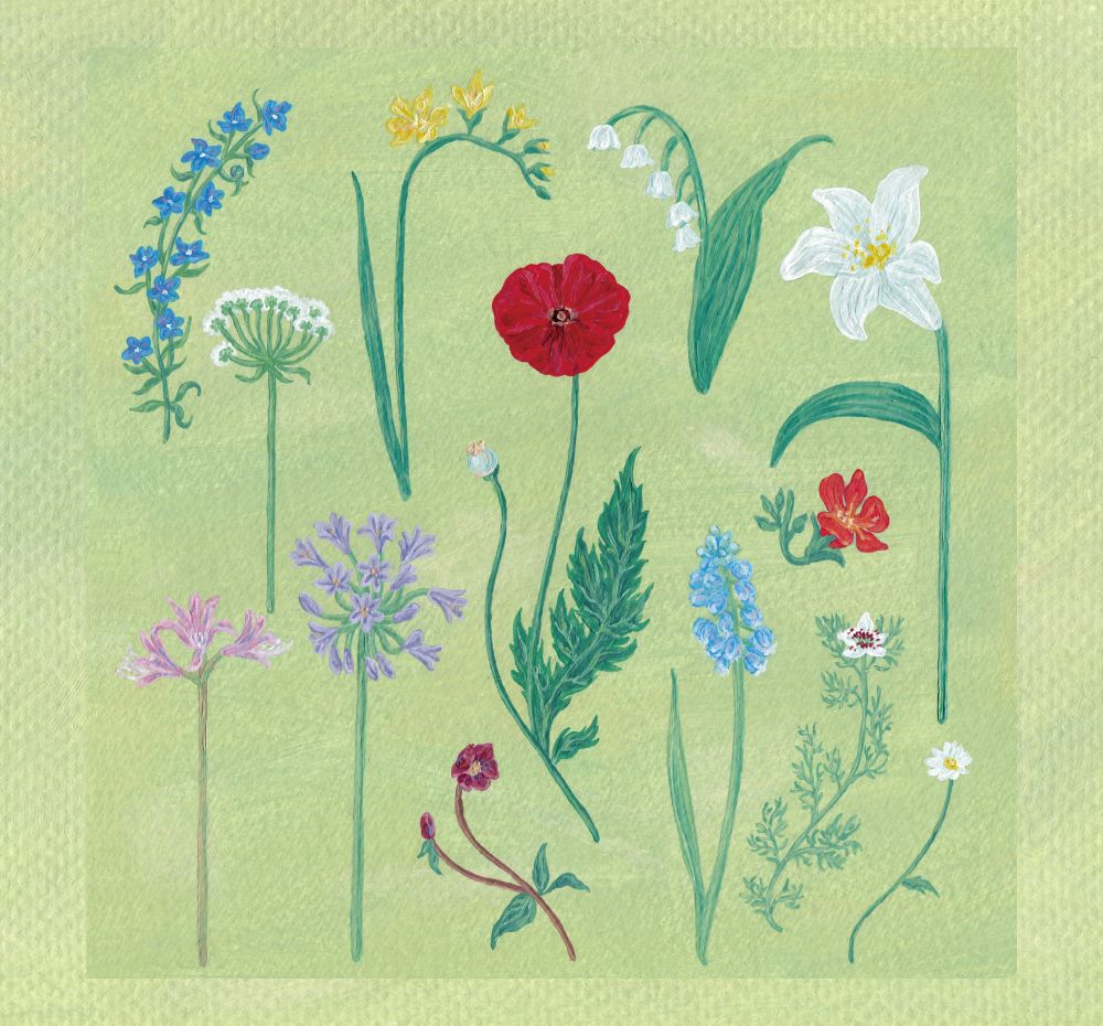 프로젝트 커버 이미지