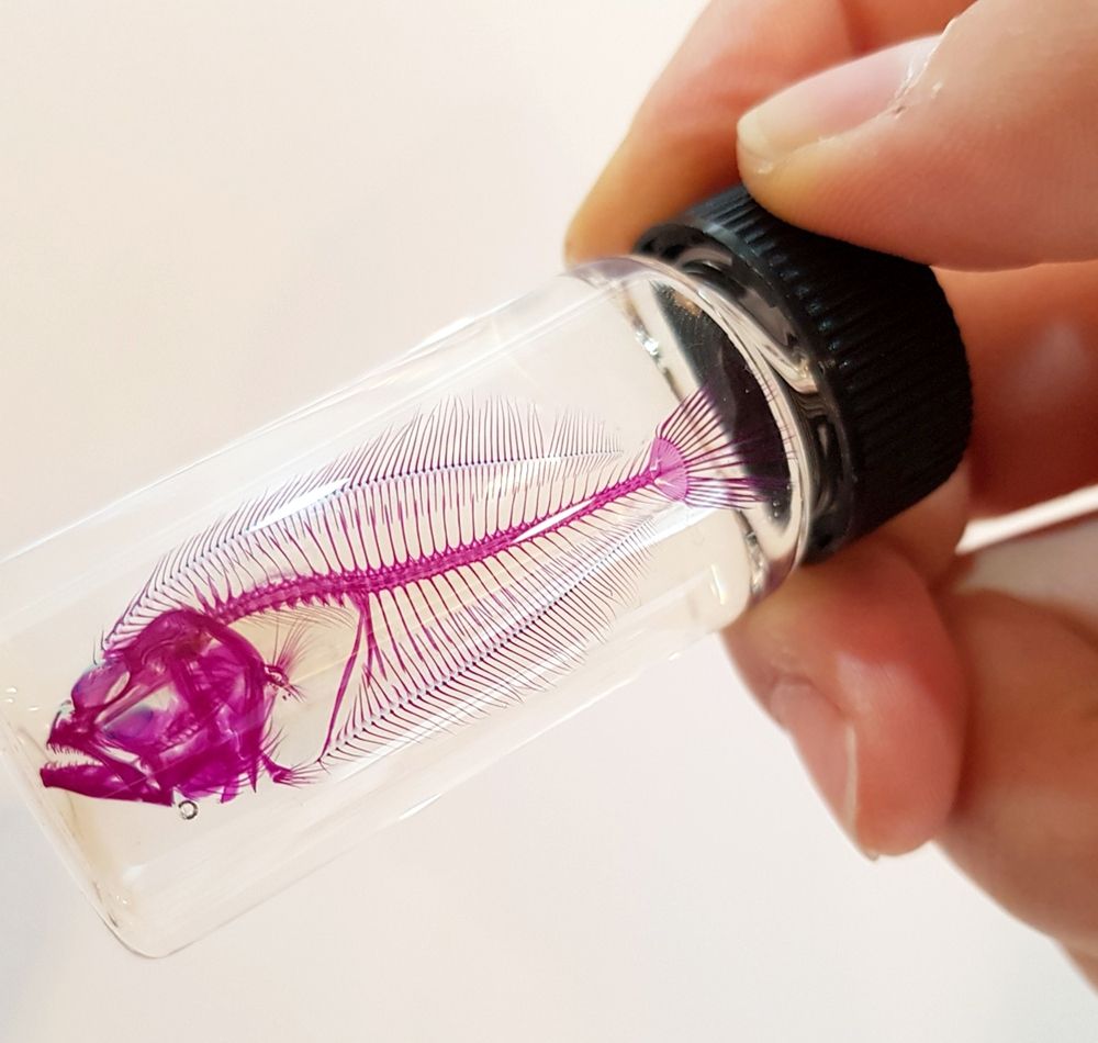 프로젝트 커버 이미지