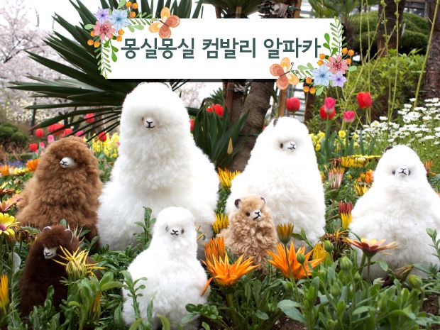 프로젝트 커버 이미지