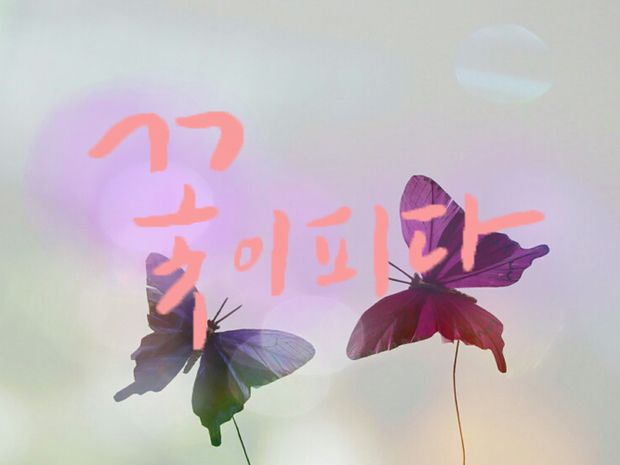 기본 프로젝트 커버 이미지