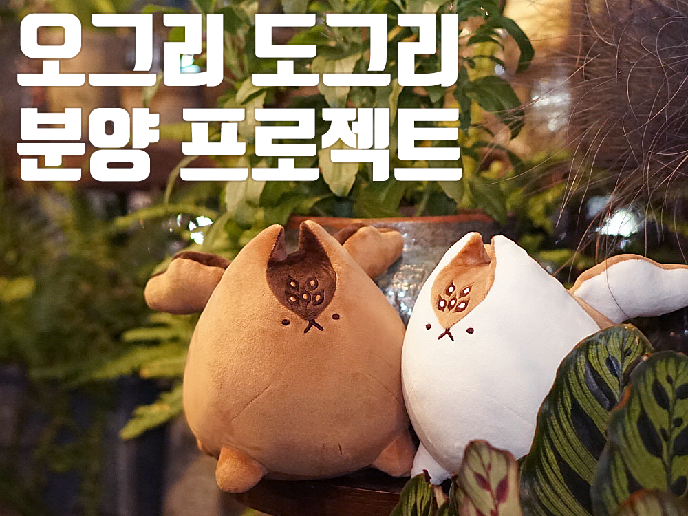 프로젝트 커버 이미지