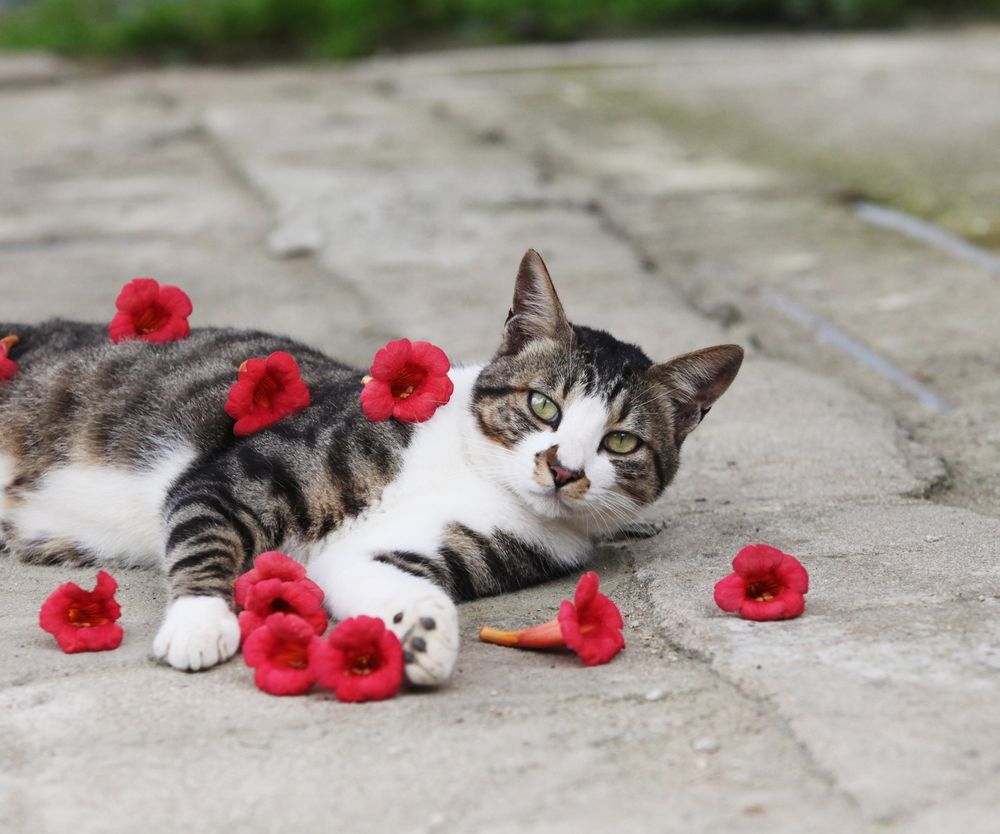 프로젝트 커버 이미지