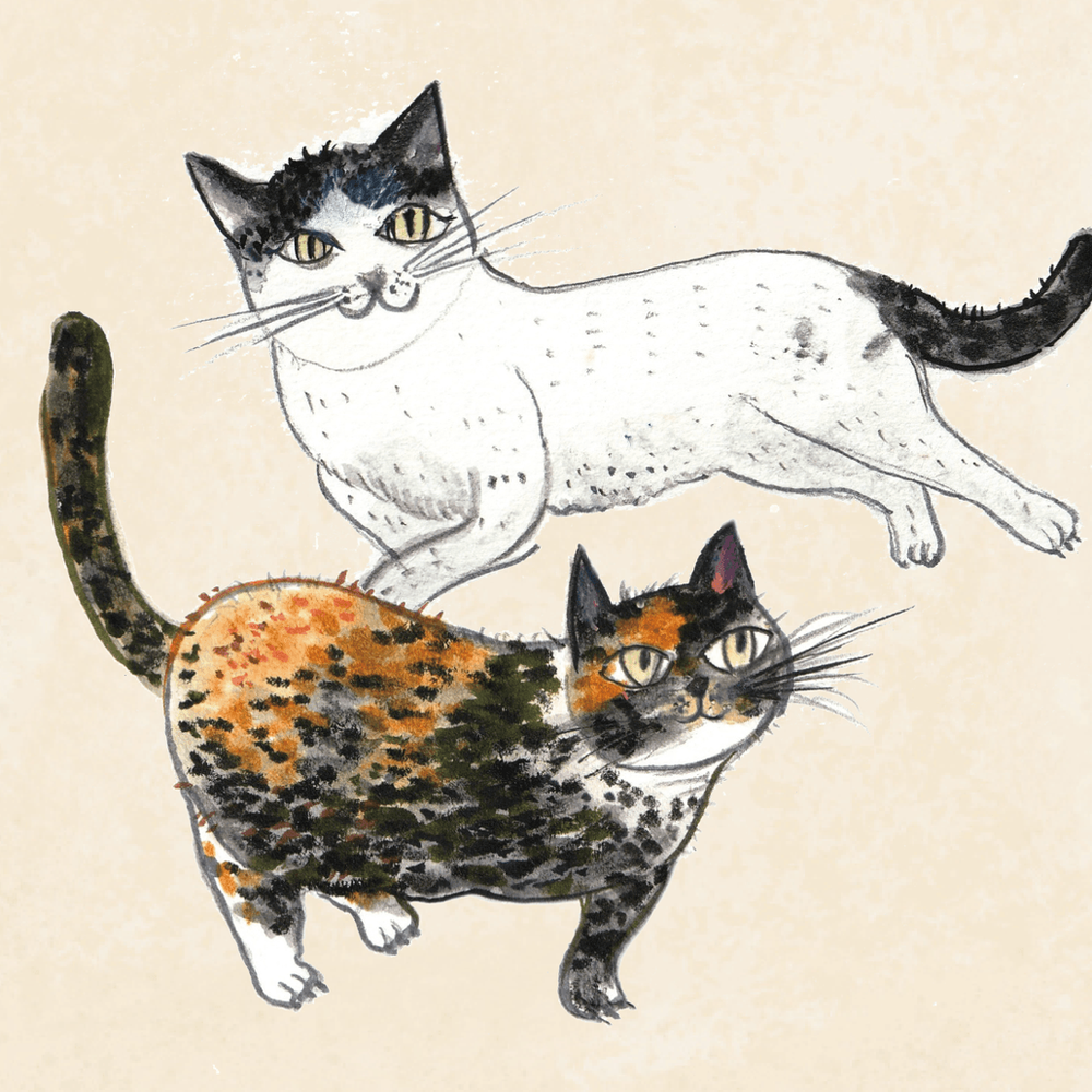 프로젝트 커버 이미지