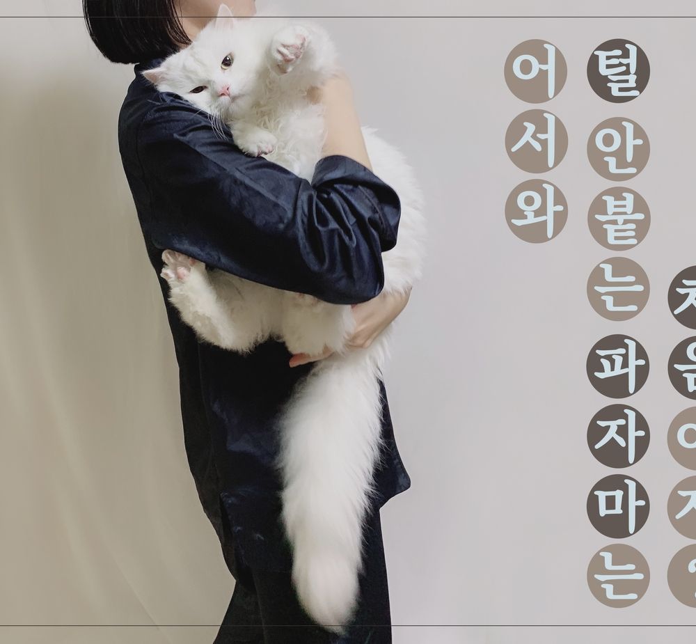 프로젝트 커버 이미지