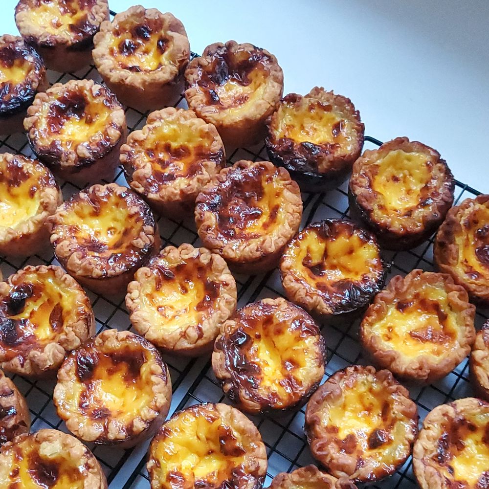 프로젝트 커버 이미지