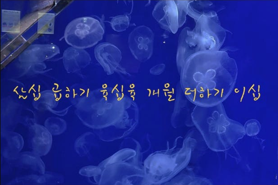 기본 프로젝트 커버 이미지