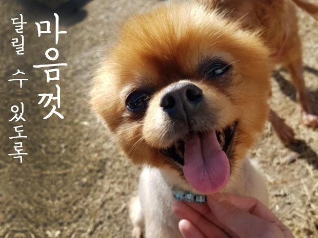 프로젝트 커버 이미지