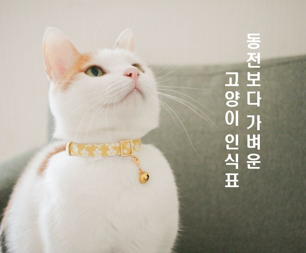 프로젝트 커버 이미지