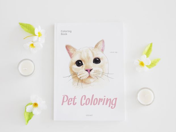 기본 프로젝트 커버 이미지