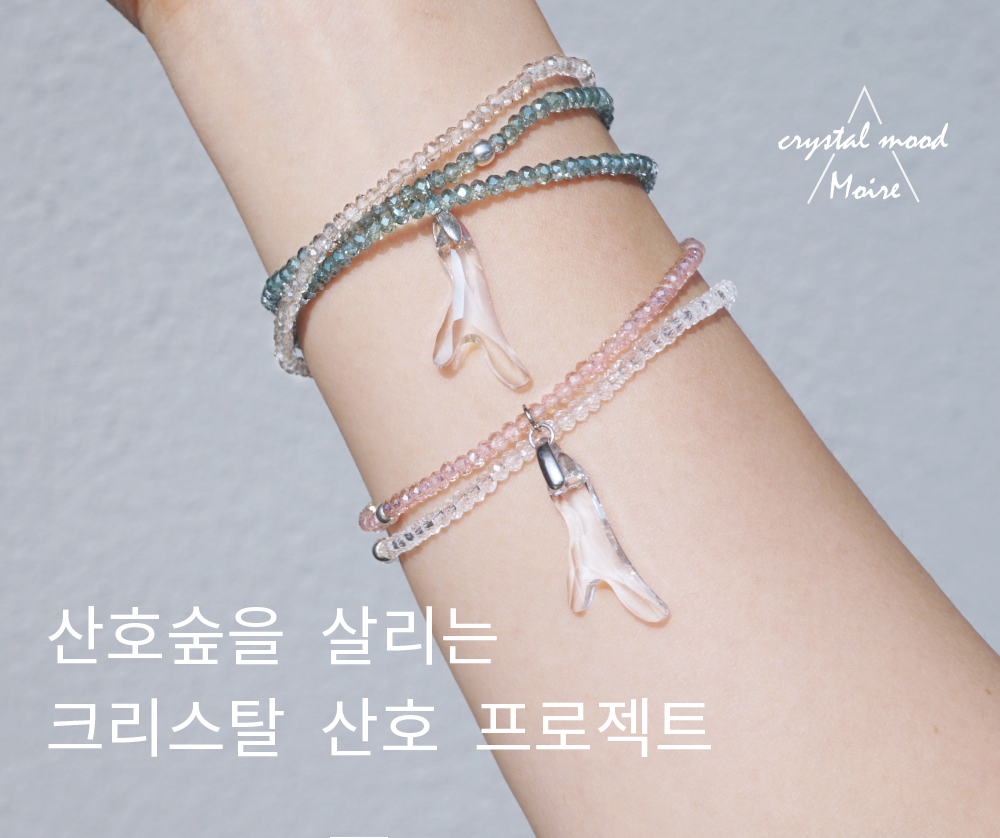 기본 프로젝트 커버 이미지