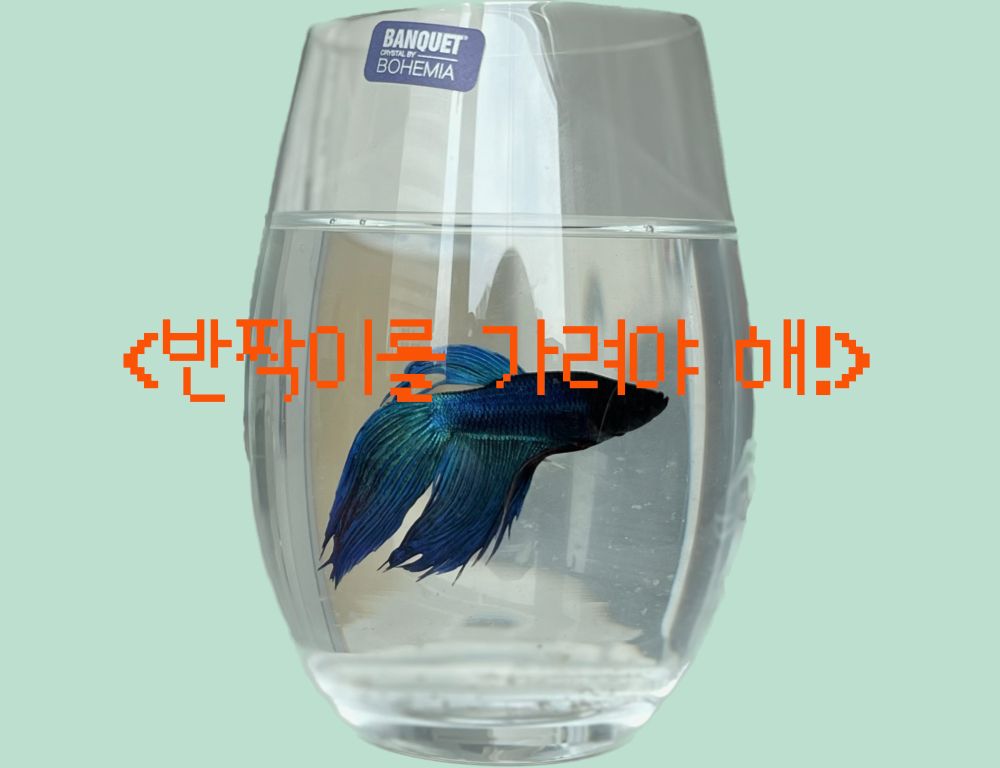 프로젝트 커버 이미지