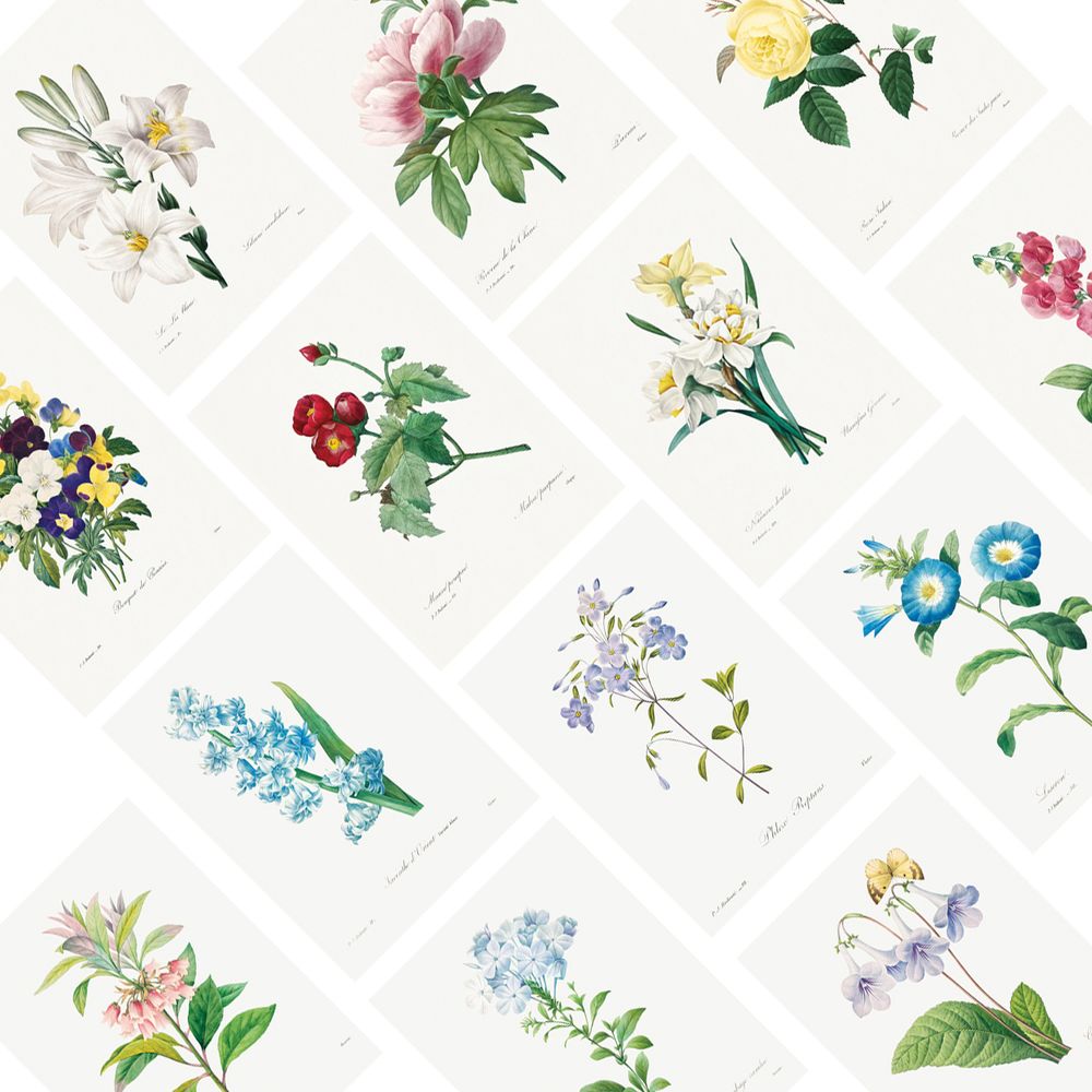 프로젝트 커버 이미지