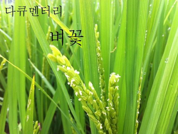 기본 프로젝트 커버 이미지