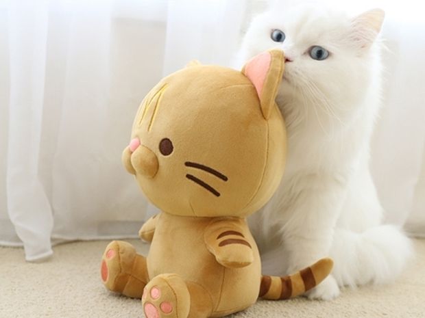 프로젝트 커버 이미지