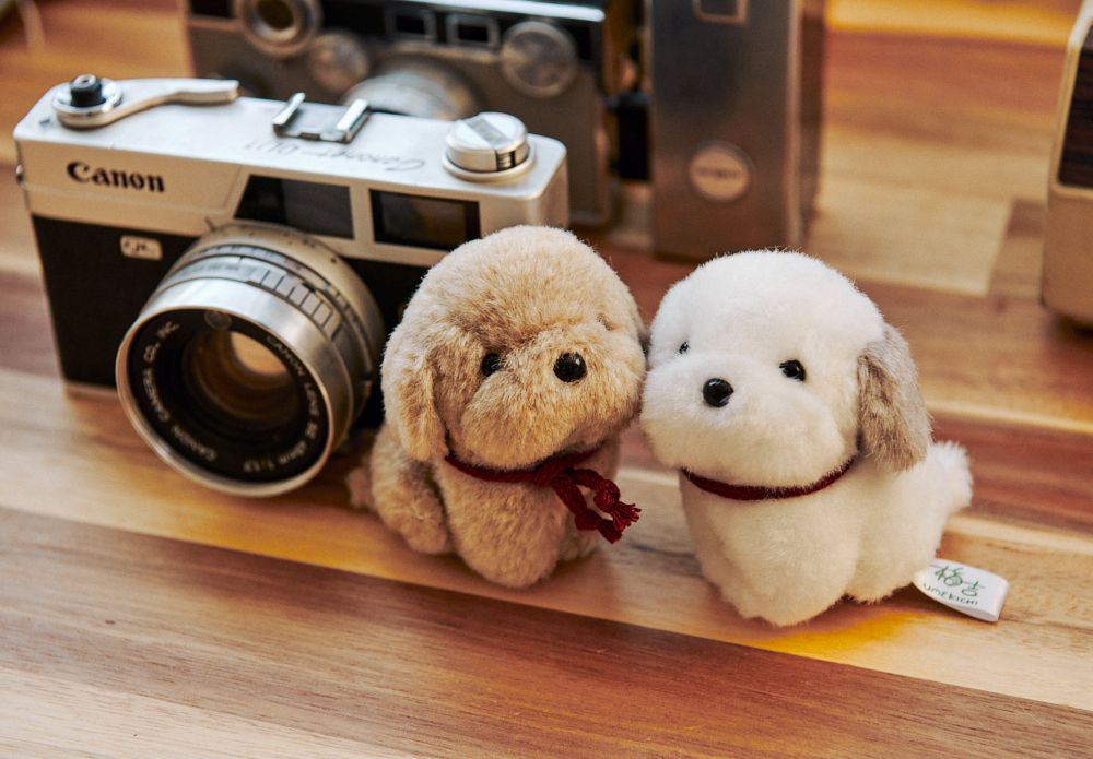 프로젝트 커버 이미지