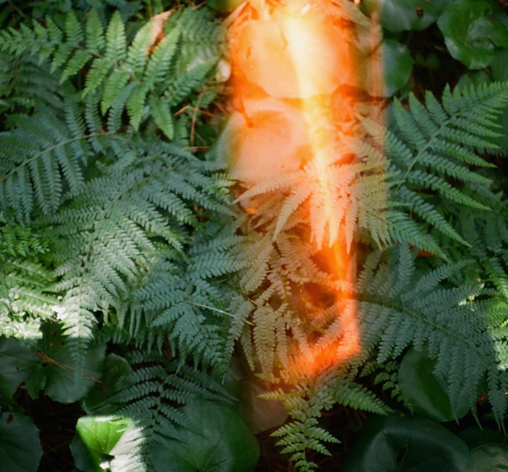 프로젝트 커버 이미지