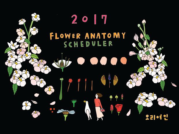 기본 프로젝트 커버 이미지