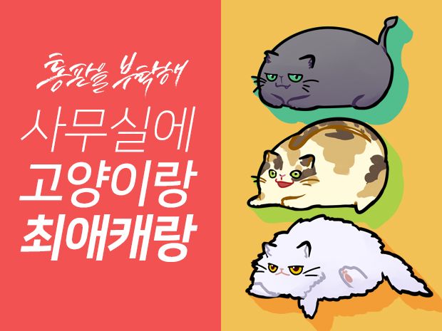 프로젝트 커버 이미지