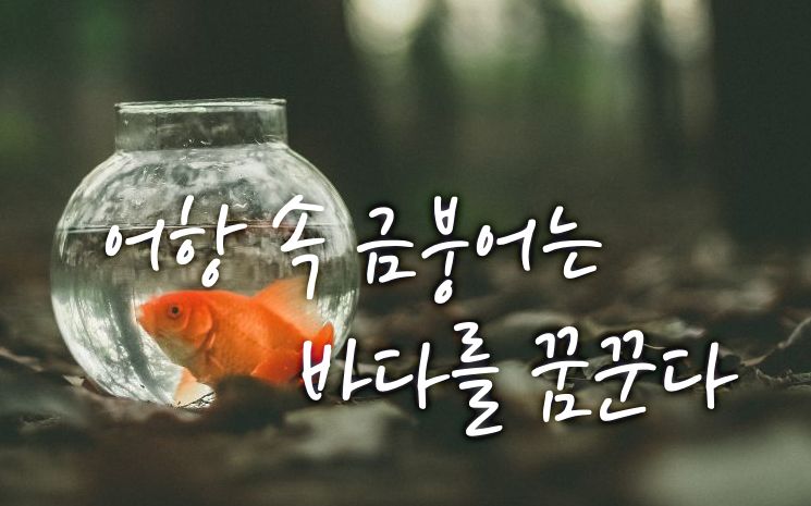 프로젝트 커버 이미지