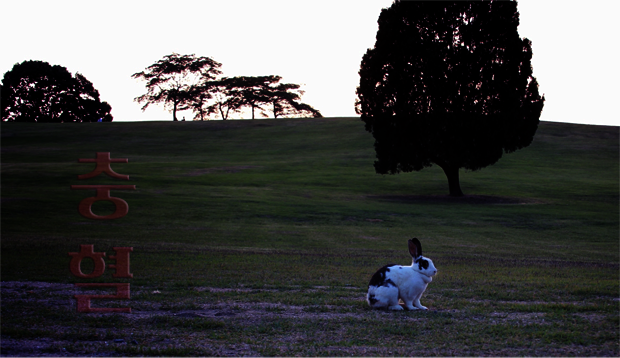 기본 프로젝트 커버 이미지