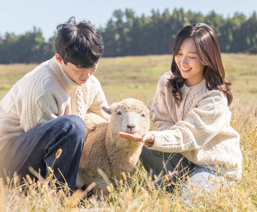 프로젝트 커버 이미지