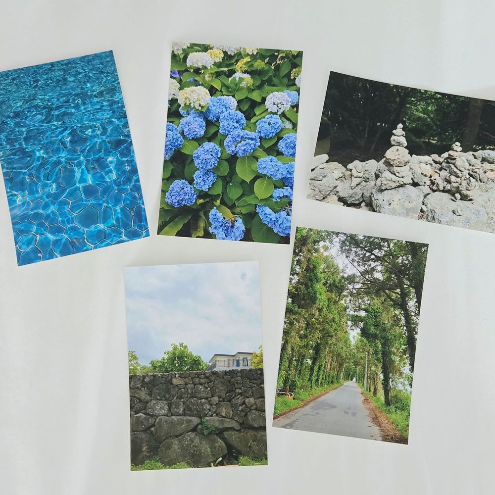 프로젝트 커버 이미지