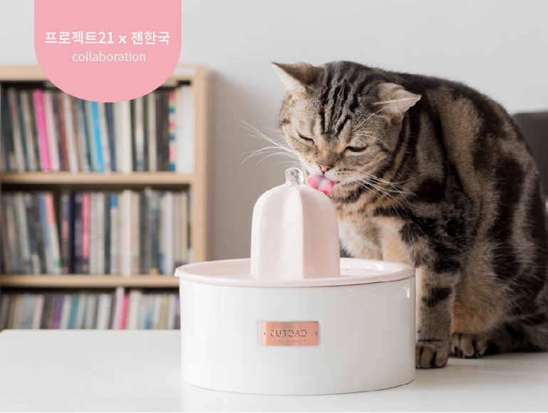 프로젝트 커버 이미지