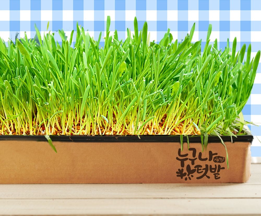 기본 프로젝트 커버 이미지