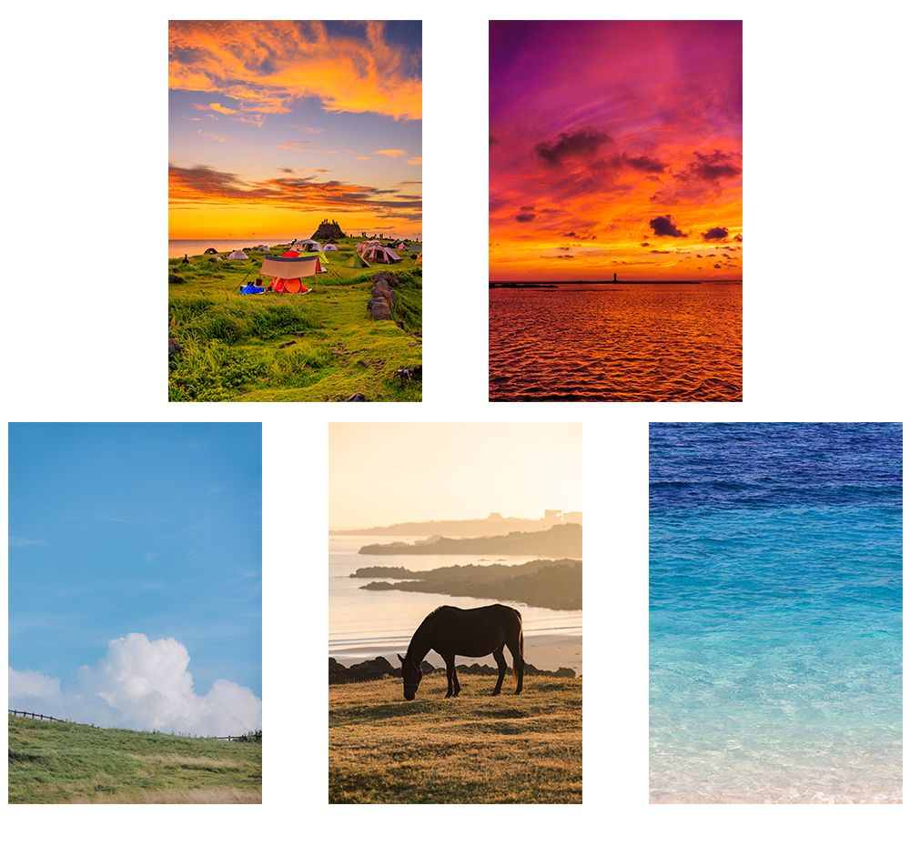 프로젝트 커버 이미지