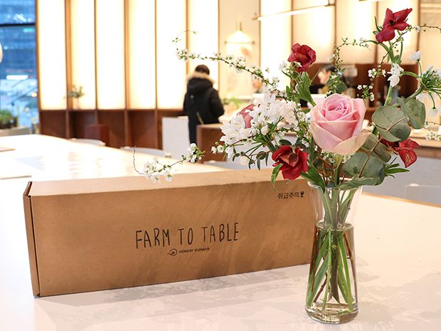 기본 프로젝트 커버 이미지