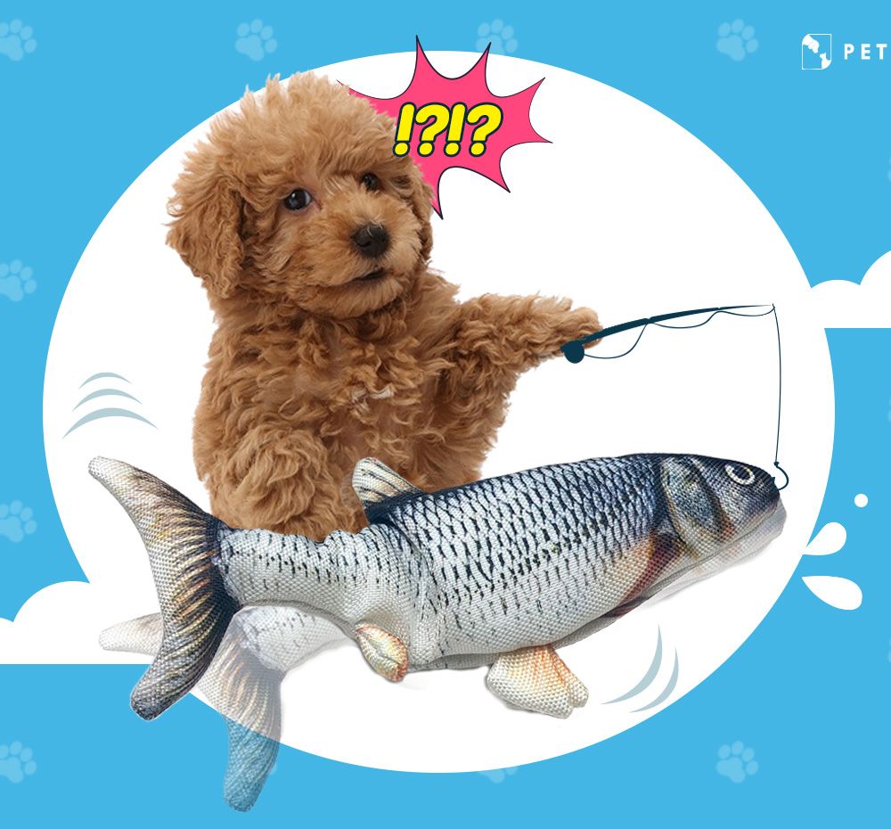 기본 프로젝트 커버 이미지