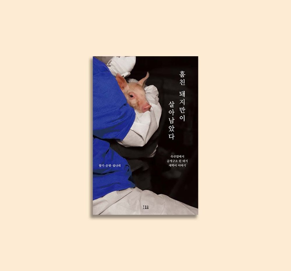 프로젝트 커버 이미지