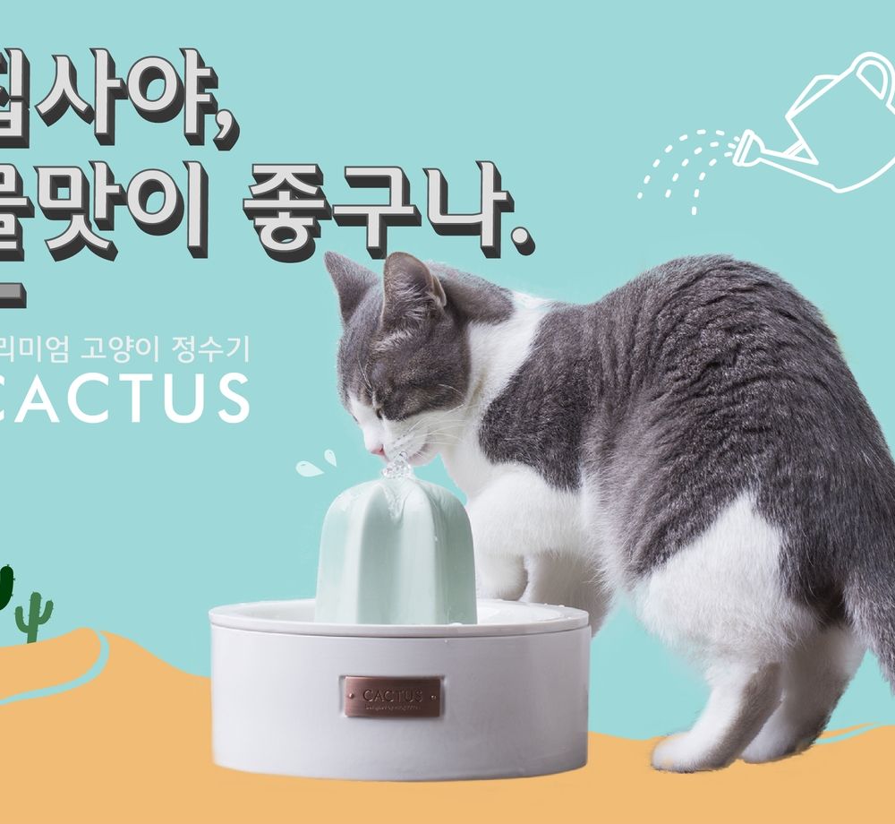 프로젝트 커버 이미지