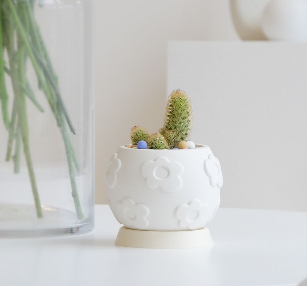 지구를 위한 친환경 화분, Flower Shower Pot | 텀블벅 - 크리에이터를 위한 크라우드펀딩